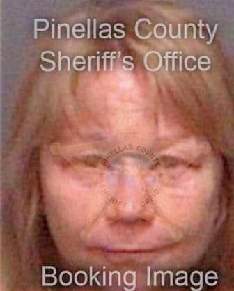 Dodge Cynthia - Pinellas County, FL 