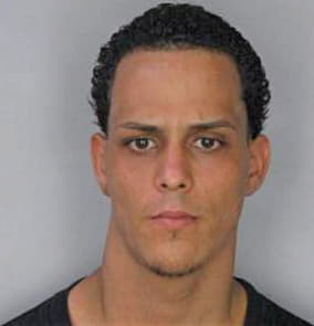 Hernandez Edwin - Hillsborough County, FL 