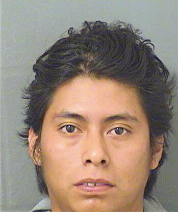 Deleonlopez Jobani - PalmBeach County, FL 