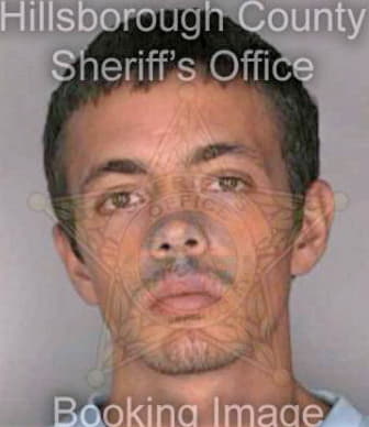 Phelps Justin - Hillsborough County, FL 