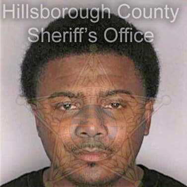 Hudson Vincent - Hillsborough County, FL 