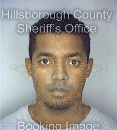 Lezcano Gustavo - Hillsborough County, FL 