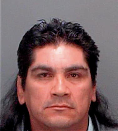 Garcia Miguel - Pinellas County, FL 