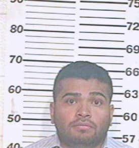 Gamez Jose - Hidalgo County, TX 