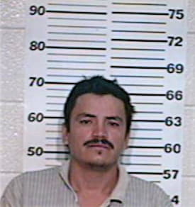 Gonzalez Luis - Hidalgo County, TX 