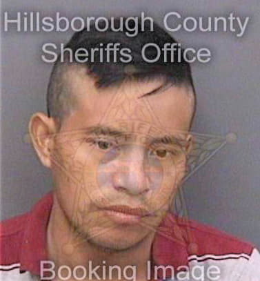 Gonzales Manuel - Hillsborough County, FL 