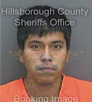 Garcia David - Hillsborough County, FL 