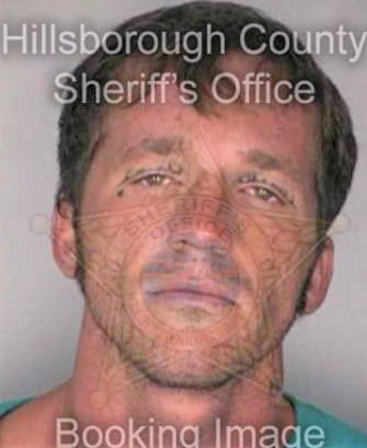 Terrell David - Hillsborough County, FL 