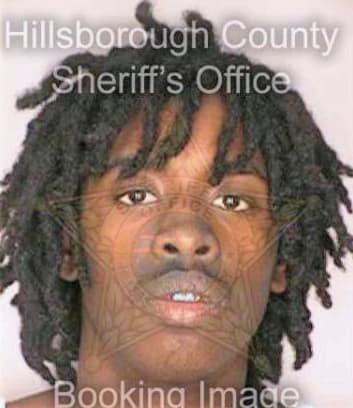 Roberts Frank - Hillsborough County, FL 