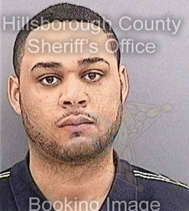 Strickland Harold - Hillsborough County, FL 