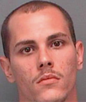 Stephens Kyle - Pinellas County, FL 