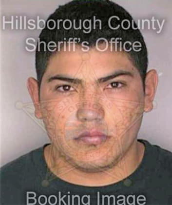 Cavazos Ramiro - Hillsborough County, FL 