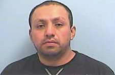 Garcia Mario - Dawson County, GA 
