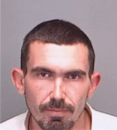 Peterson Matthew - Pinellas County, FL 