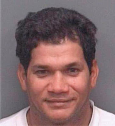 Alvarez Tedy - Pinellas County, FL 