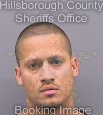 Torres Wilfredo - Hillsborough County, FL 