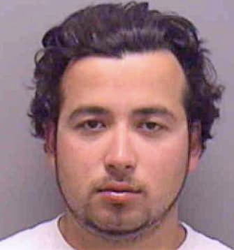 Giraldo Brian - Lee County, FL 