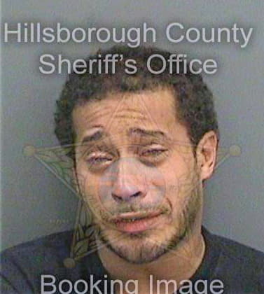 Lopez Eric - Hillsborough County, FL 