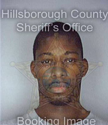 Johnson Kevin - Hillsborough County, FL 