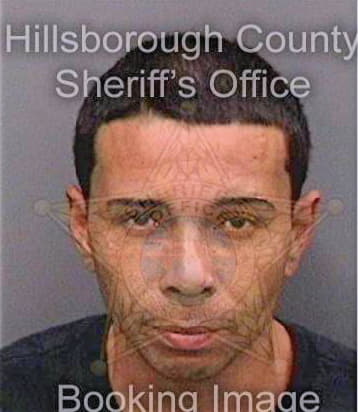 Sanchezcolon Omar - Hillsborough County, FL 