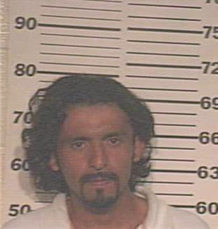 Martinez David - Hidalgo County, TX 