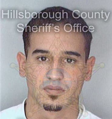 Martinez David - Hillsborough County, FL 