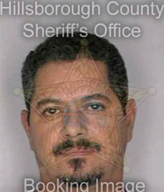 Hernandez Enrique - Hillsborough County, FL 
