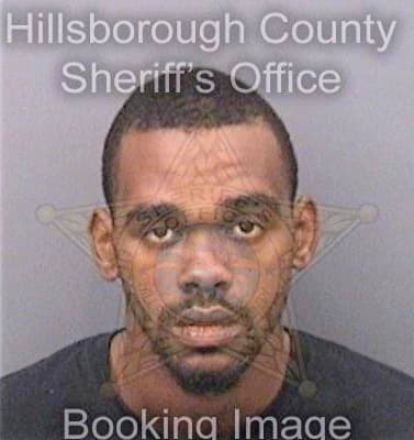 Hudson Justin - Hillsborough County, FL 