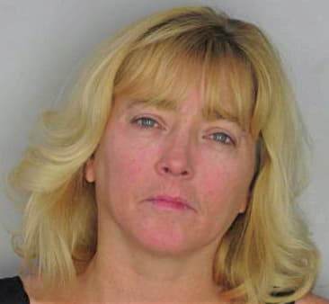 Lang Laverne - Hillsborough County, FL 