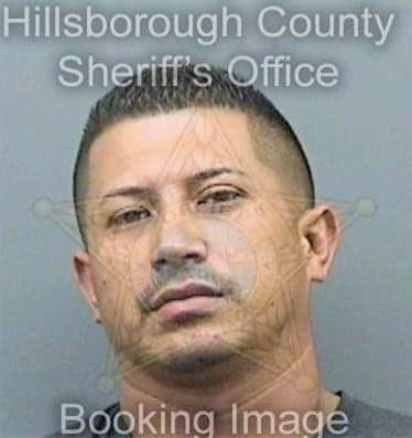 Bolivar Willie - Hillsborough County, FL 