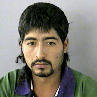 Saldierna Homero - Gwinnett County, GA 