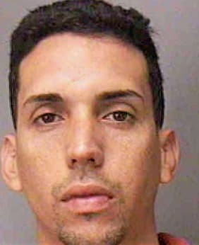 Diaz-Arroyo Jose - Polk County, FL 