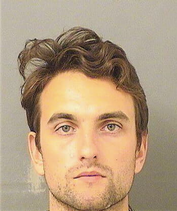 Alexander Matthew - PalmBeach County, FL 