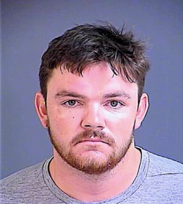 Applegate Dylan - Charleston County, SC 