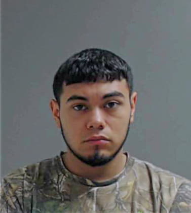 Pena Eric - Hidalgo County, TX 