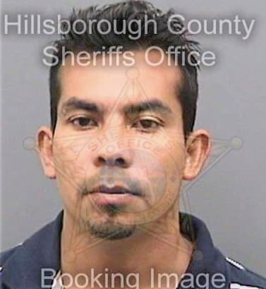 Alascaguacastaneda Alfredo - Hillsborough County, FL 