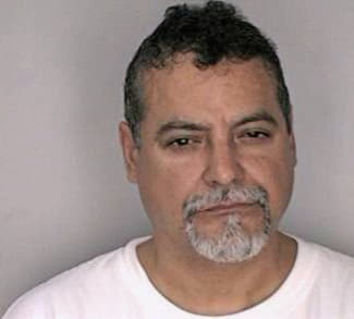 Maldonado Erving - Hillsborough County, FL 