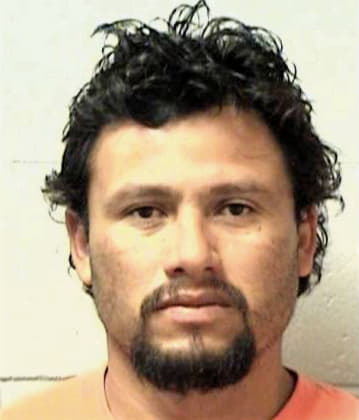 Mendez Rene - Henry County, GA 