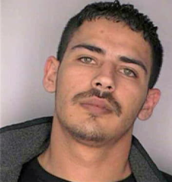 Silva Seferino - Hillsborough County, FL 