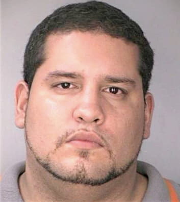Guzman Edgardo - Hillsborough County, FL 