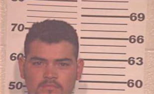 Gauna Hector - Hidalgo County, TX 