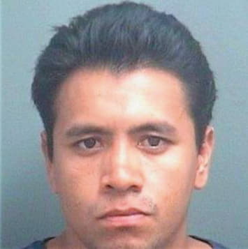 Hernandez Luis - PalmBeach County, FL 