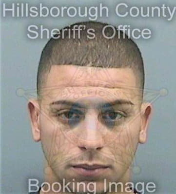 Riverovaldez Reinier - Hillsborough County, FL 