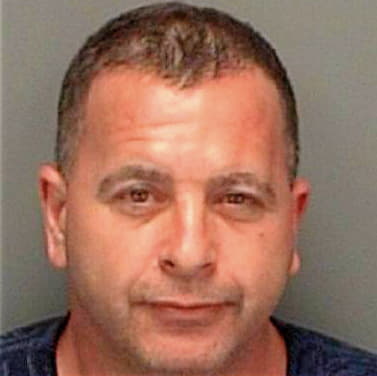 Anderson Richard - Pinellas County, FL 