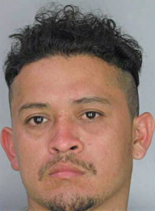 Carbajal Rigoberto - Hillsborough County, FL 