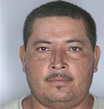 Luviano J - Hillsborough County, FL 