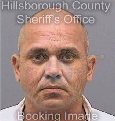 Patino Recaredo - Hillsborough County, FL 