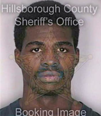 Holton Lawrence - Hillsborough County, FL 