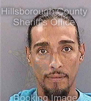 Serrano Luis - Hillsborough County, FL 