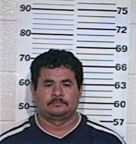 Aguirre Mario - Hidalgo County, TX 